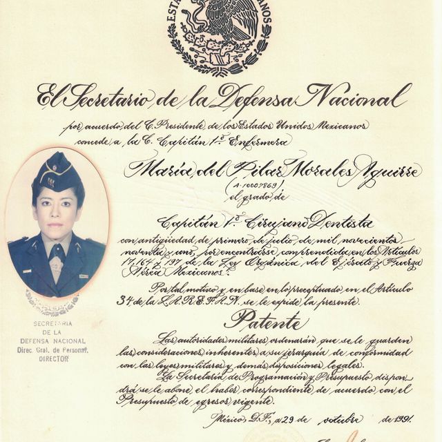 Ampliar imagen: certificate 5