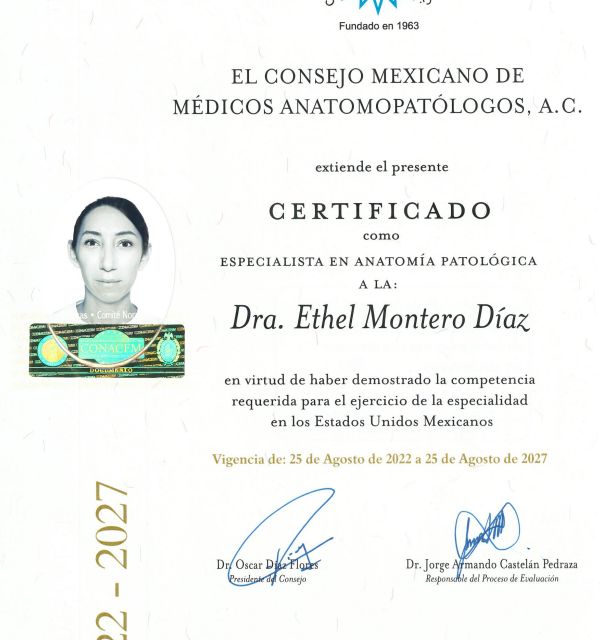 Ampliar imagen: certificate 2