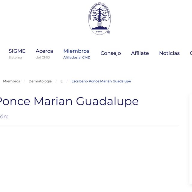 Ampliar imagen: certificate 4
