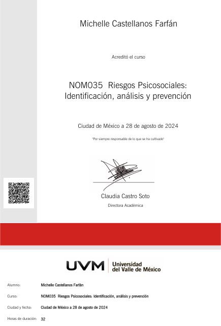 Ampliar imagen: certificate 4