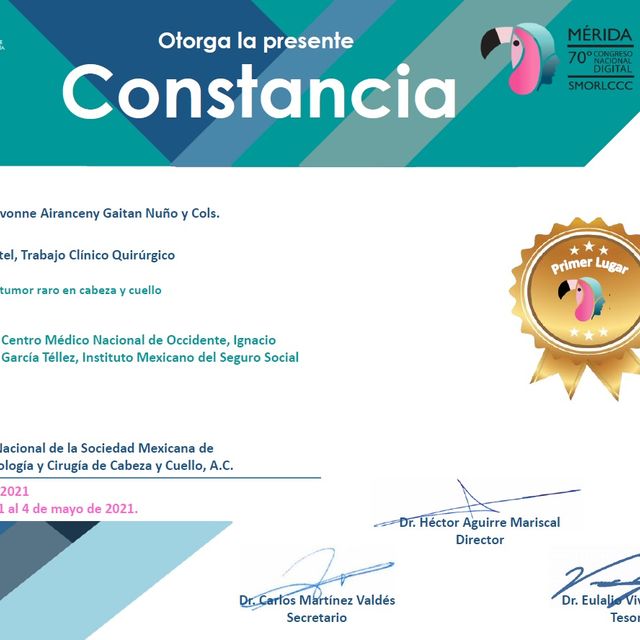 Ampliar imagen: certificate 3