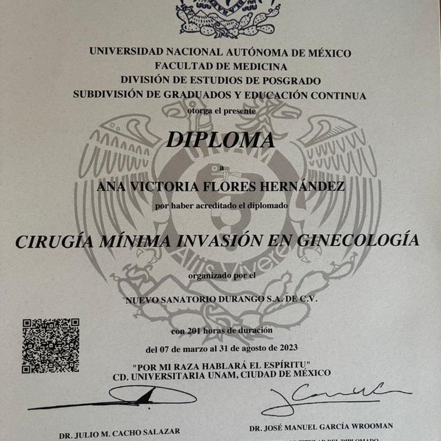 Ampliar imagen: certificate 5