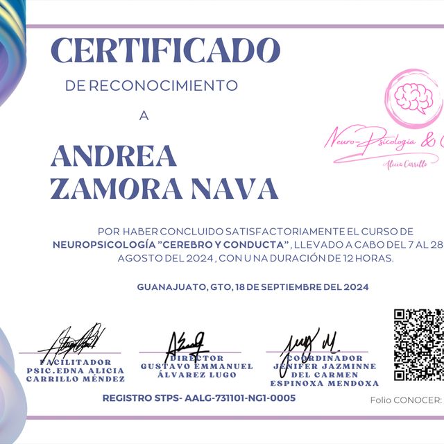 Ampliar imagen: certificate 1