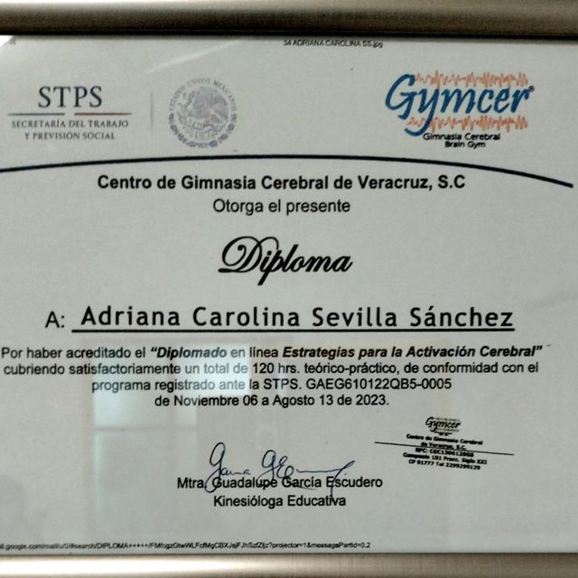 Ampliar imagen: certificate 5