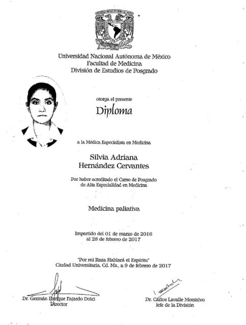 Ampliar imagen: certificate 3