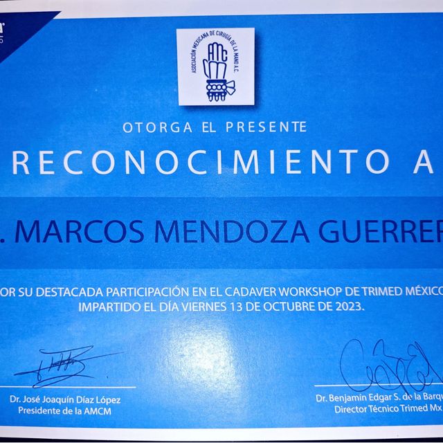 Ampliar imagen: certificate 9