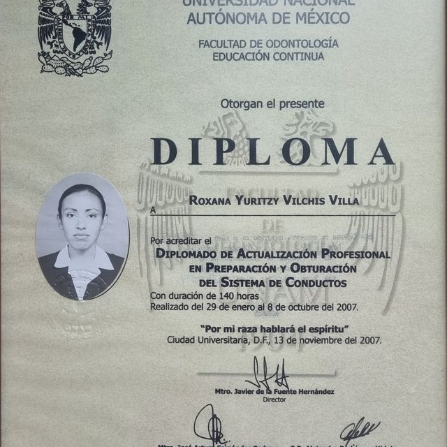 Ampliar imagen: certificate 4