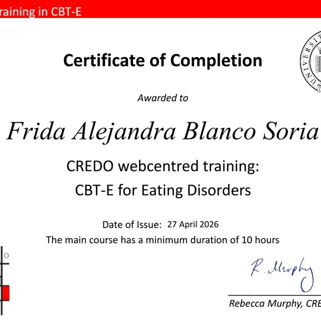 Ampliar imagen: certificate 3