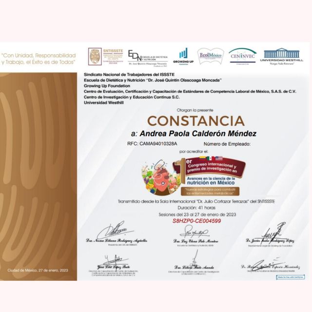 Ampliar imagen: certificate 8
