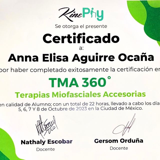 Ampliar imagen: certificate 4