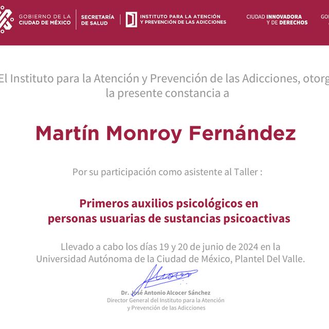 Ampliar imagen: certificate 2