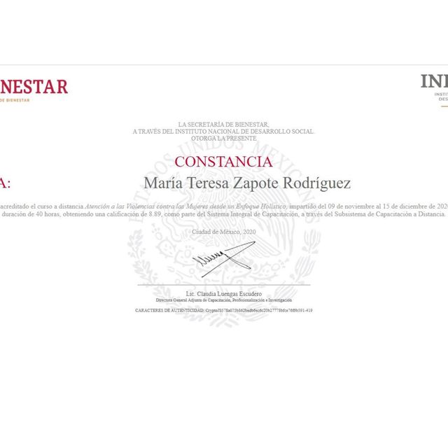 Ampliar imagen: certificate 1