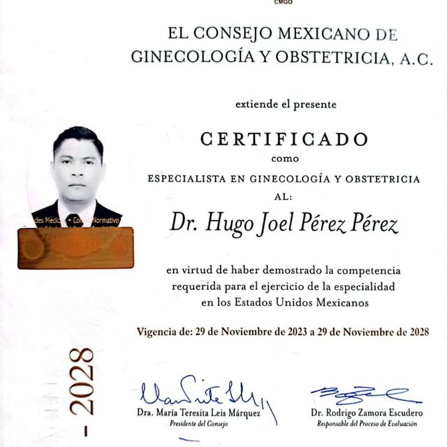 Ampliar imagen: certificate 1