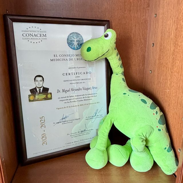 Ampliar imagen: certificate 2