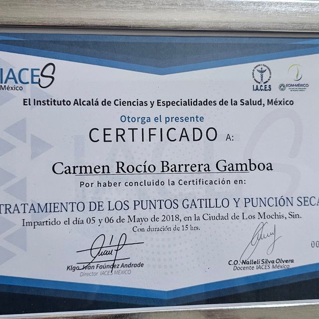 Ampliar imagen: certificate 4