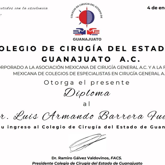 Ampliar imagen: certificate 4