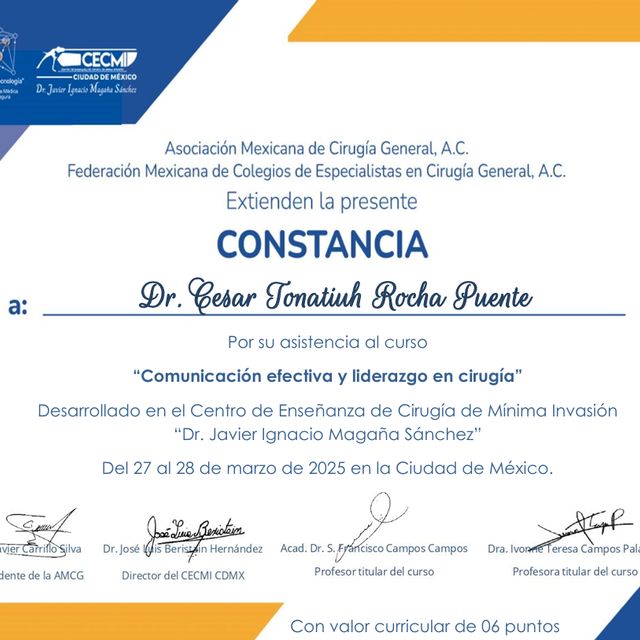 Ampliar imagen: certificate 89