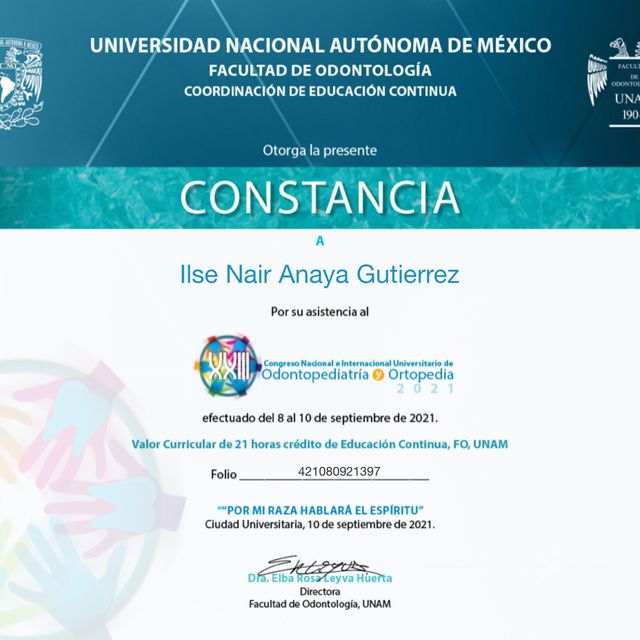 Ampliar imagen: certificate 3