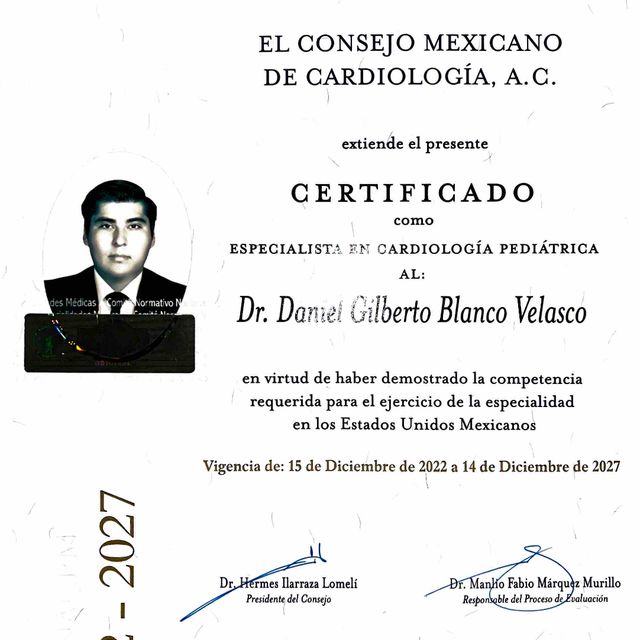 Ampliar imagen: certificate 1