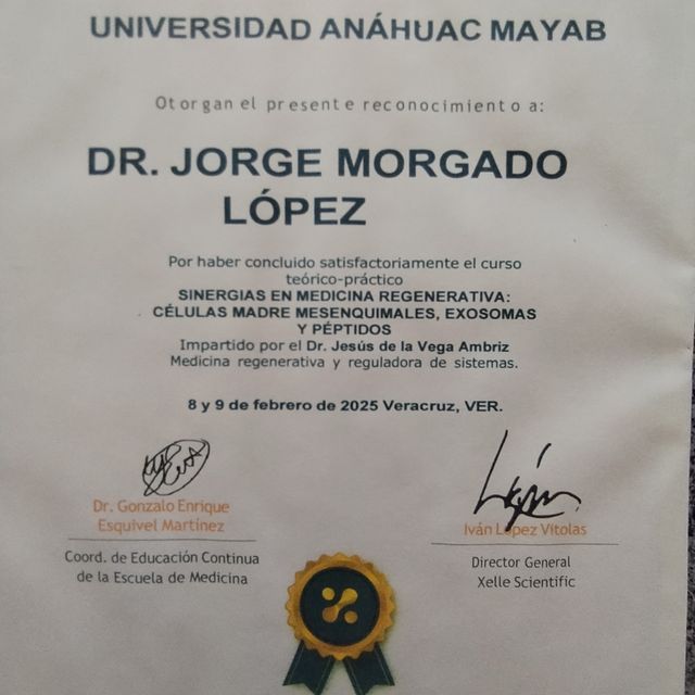 Ampliar imagen: certificate 2