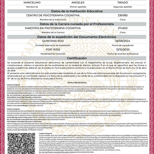 Ampliar imagen: certificate 11