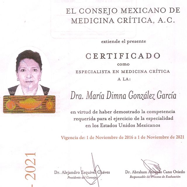 Ampliar imagen: certificate 2