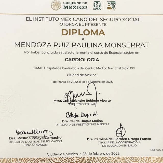 Ampliar imagen: certificate 6