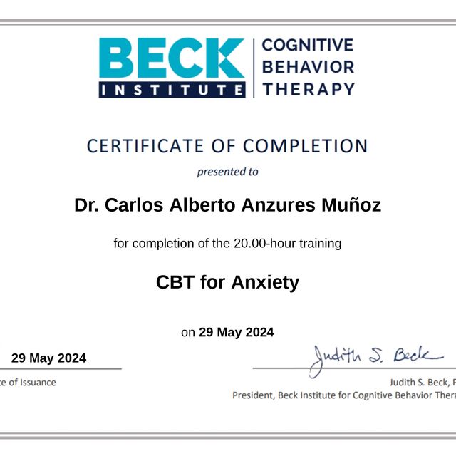 Ampliar imagen: certificate 11
