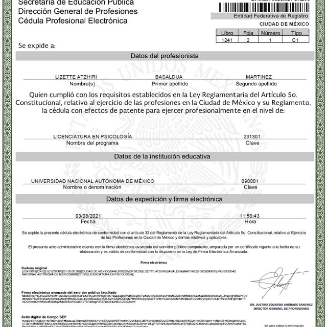 Ampliar imagen: certificate 1