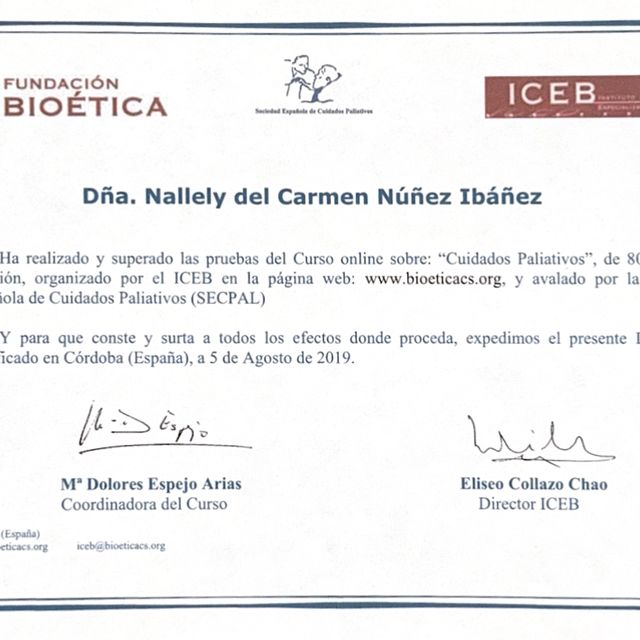 Ampliar imagen: certificate 4