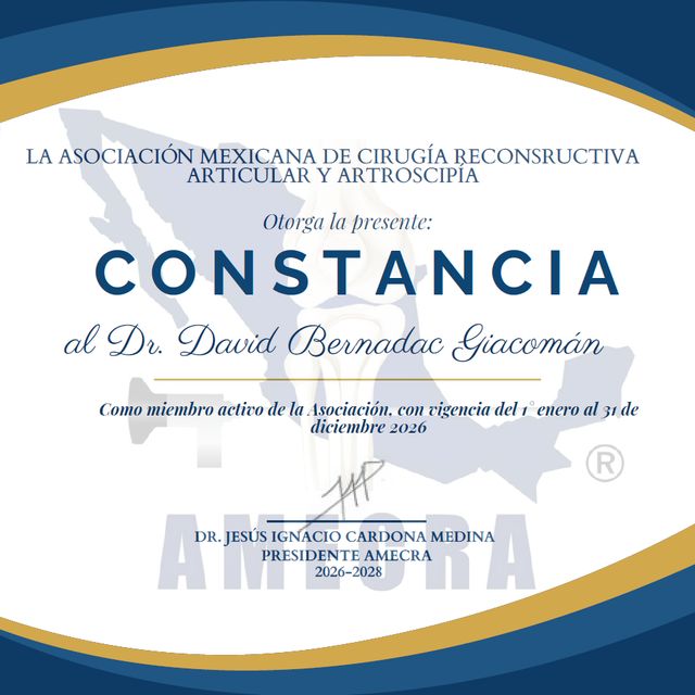 Ampliar imagen: certificate 9