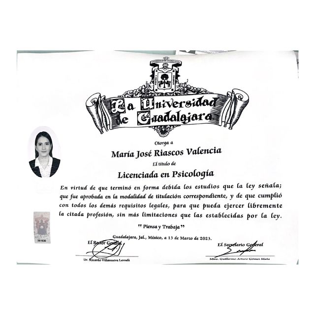 Ampliar imagen: certificate 2