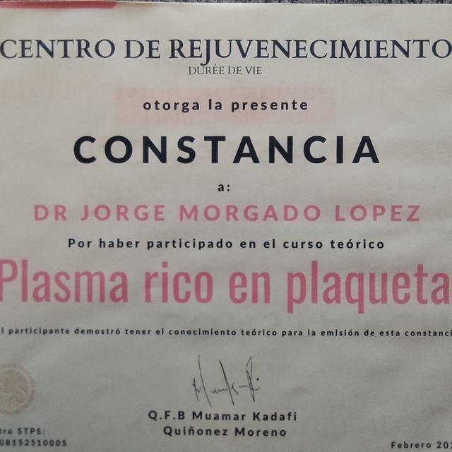 Ampliar imagen: certificate 3