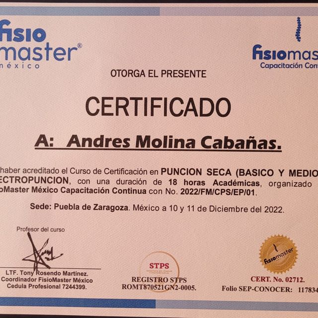 Ampliar imagen: certificate 1