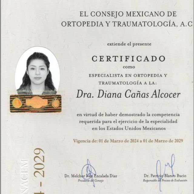 Ampliar imagen: certificate 3