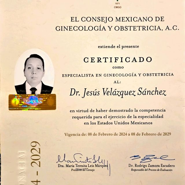 Ampliar imagen: certificate 3