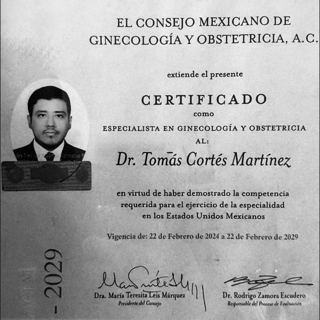 Ampliar imagen: certificate 1