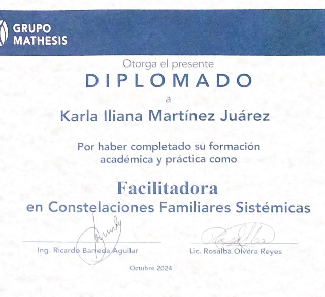 Ampliar imagen: certificate 14