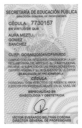 Ampliar imagen: certificate 7