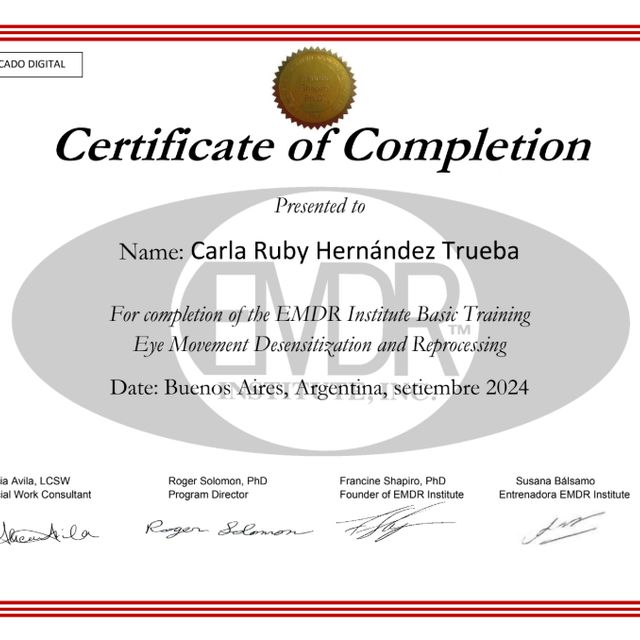 Ampliar imagen: certificate 3
