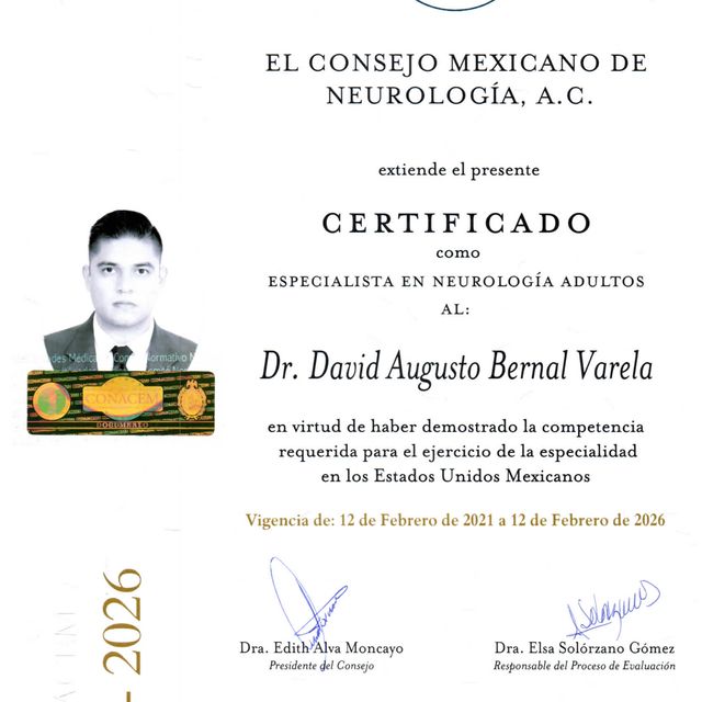 Ampliar imagen: certificate 1