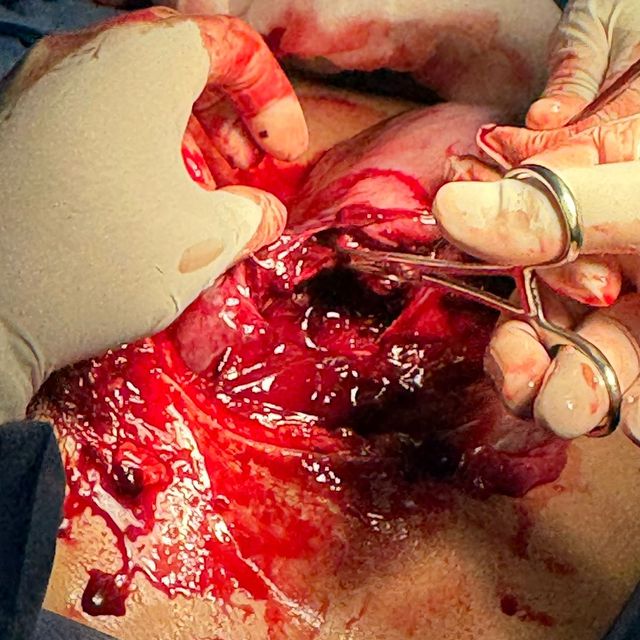 Ampliar imagen: certificate 25