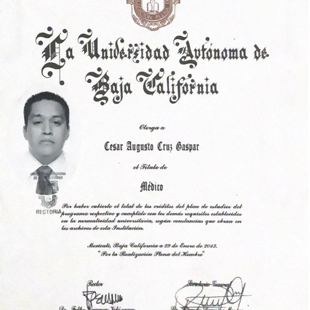 Ampliar imagen: certificate 1