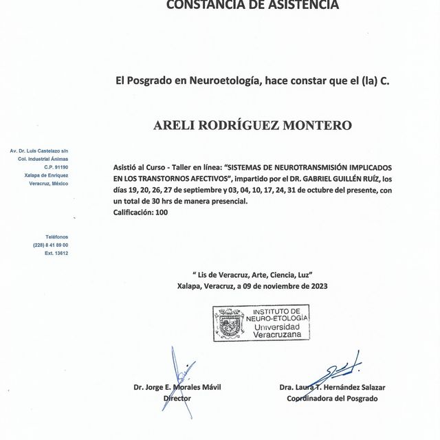 Ampliar imagen: certificate 3