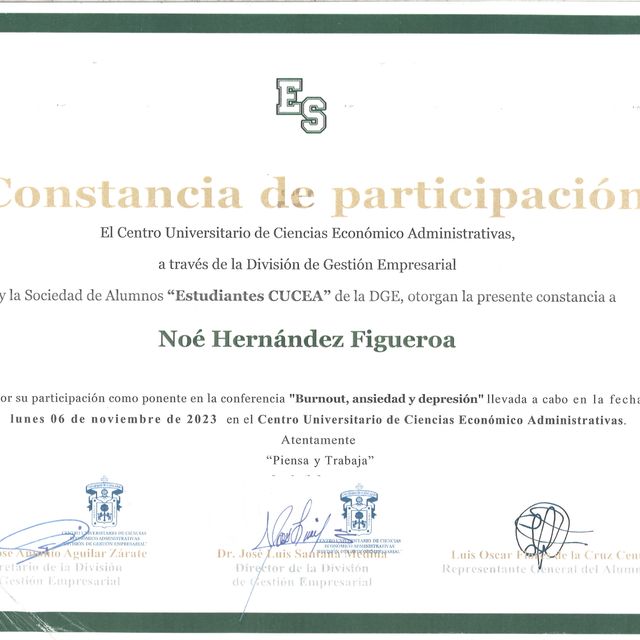 Ampliar imagen: certificate 15