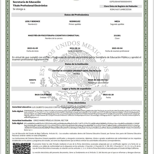 Ampliar imagen: certificate 5