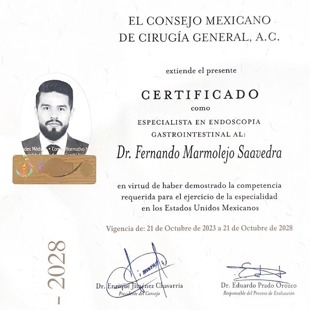 Ampliar imagen: certificate 8