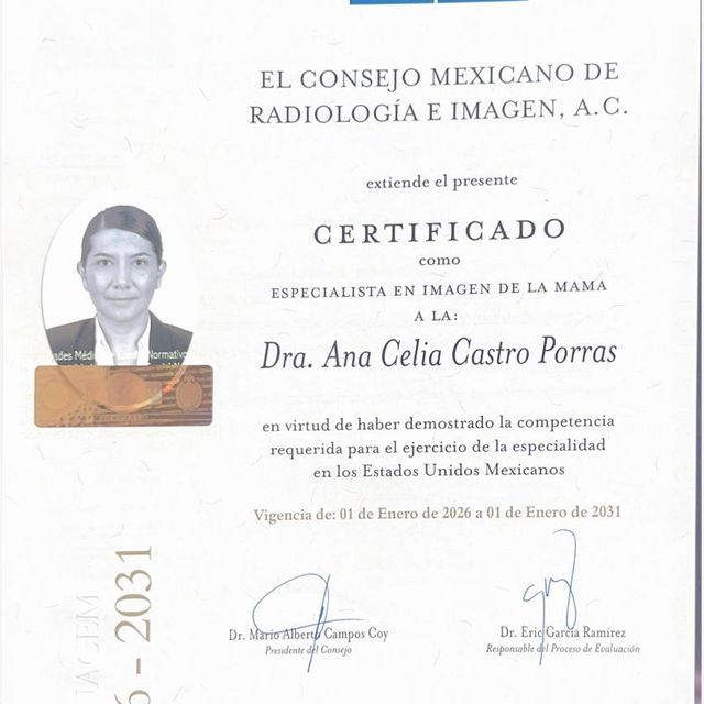 Ampliar imagen: certificate 2