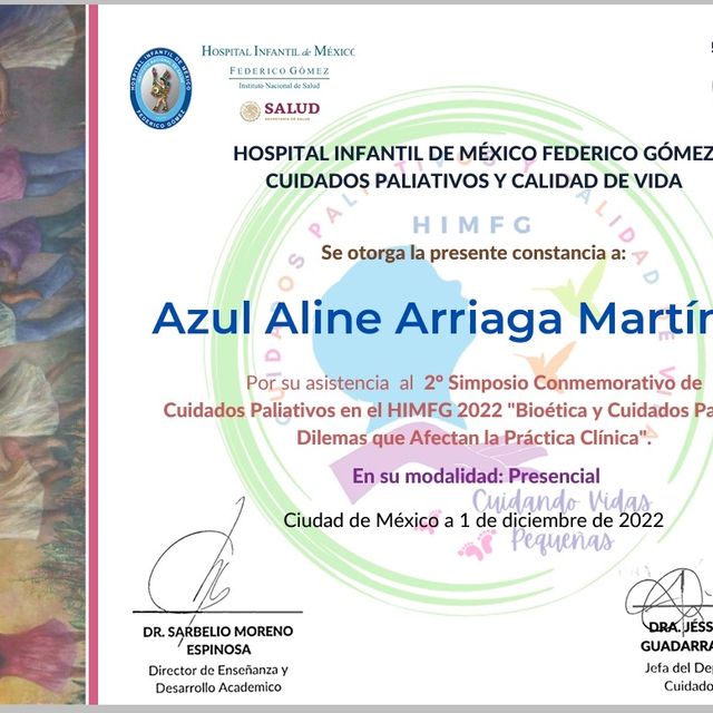 Ampliar imagen: certificate 5