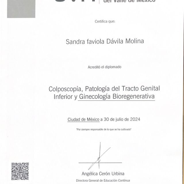 Ampliar imagen: certificate 5
